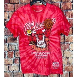 Vintage Chicago Bulls 6-Time NBA World Champions Medium Red Tie Dye T-Shirt
